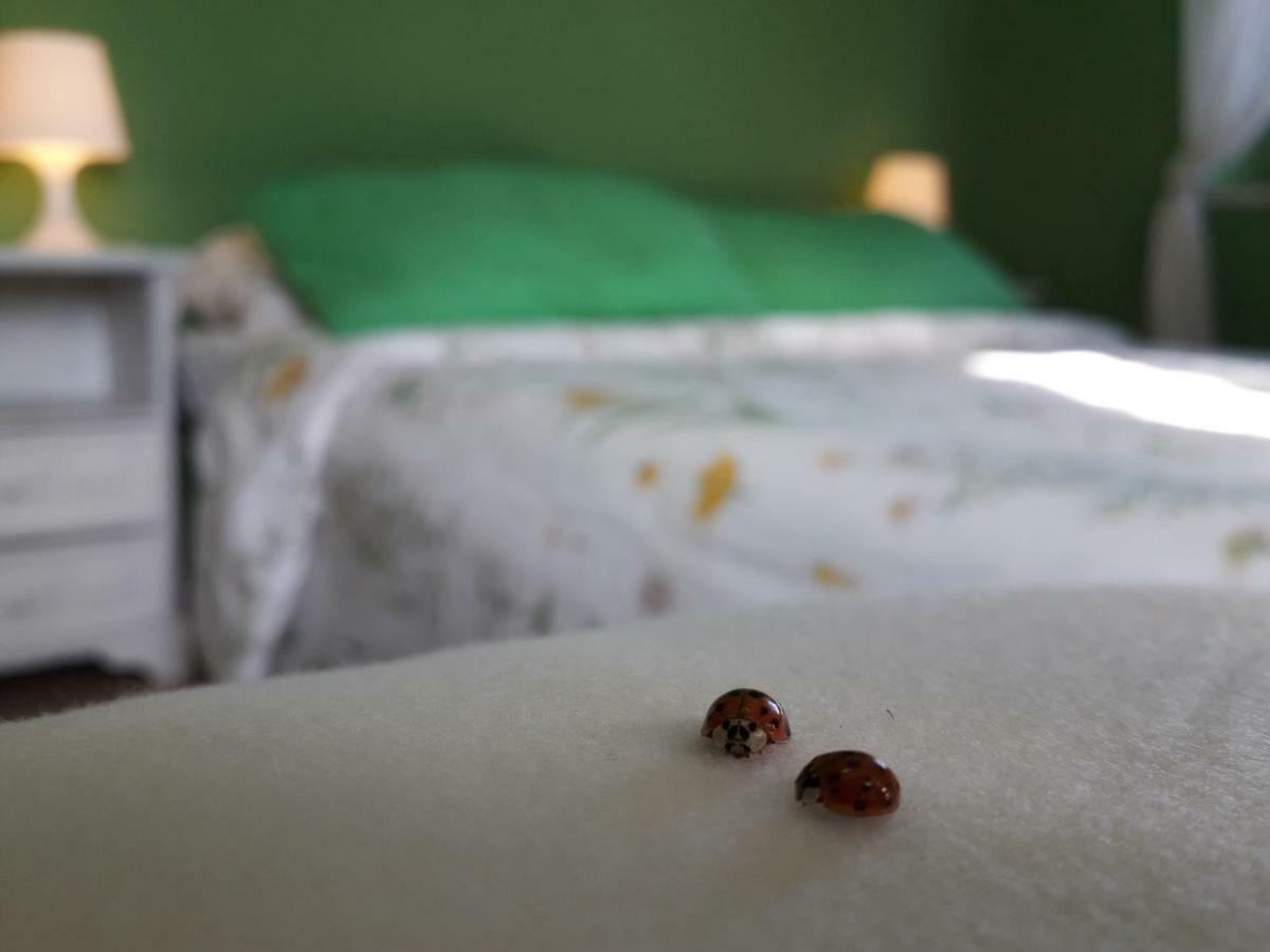 Alle Preci Country House Santa Restituta 外观 照片